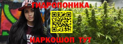 наркотики Камышлов