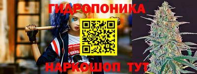 mdpv Кандалакша